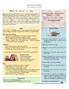 Click on the Image to Download Your Free Neti Resource Guide!